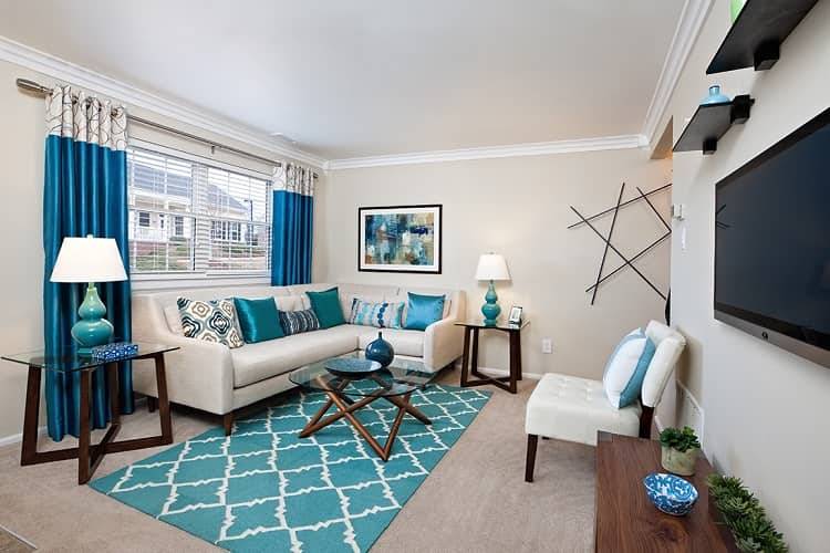 Studio Apartments For Rent