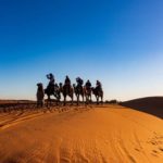 Dubai Desert Safari