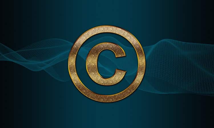 Protect Website IP