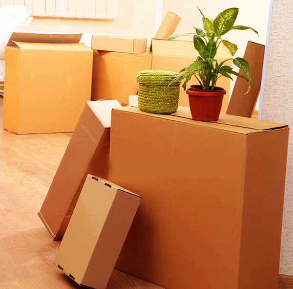 Tips To Follow For Making Your Move Inexpensive And Relaxed