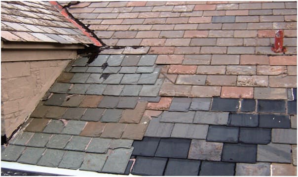 Shingle and sheathing deterioration
