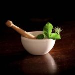 Herbal Remedies for Skin Allergy