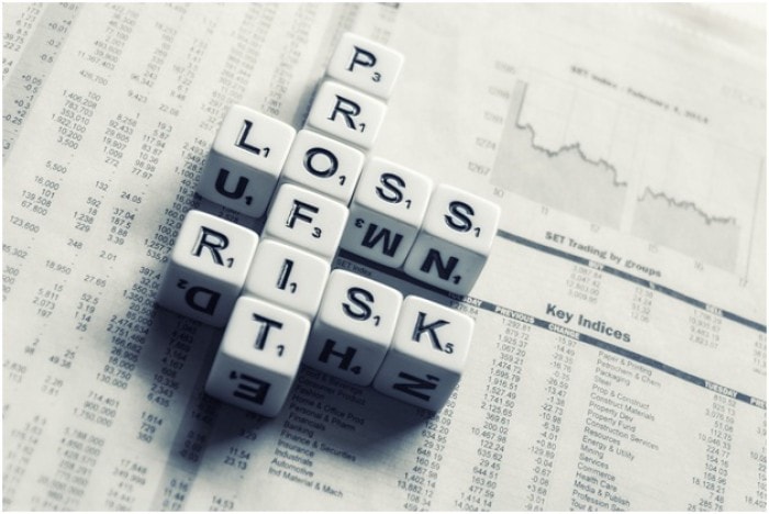 Business Risks