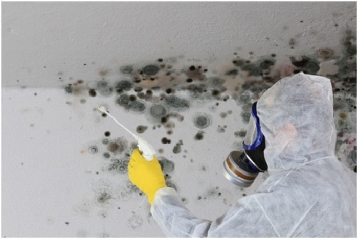 Get Your Home Inspected Before Its Too Late