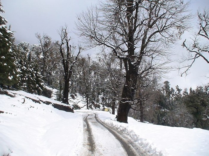 Munsiyari, Uttarakhand