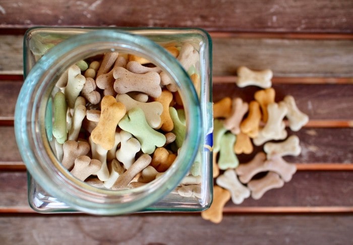 Plan your Dogs Diet