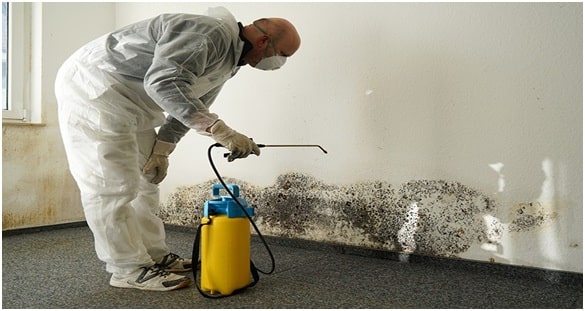 Prevents The Growth Of Mold