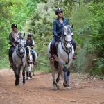 7 Awesome Places to Go Horseback Riding in India!
