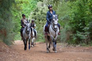 7 Awesome Places to Go Horseback Riding in India!
