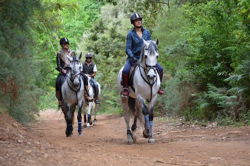 7 Awesome Places to Go Horseback Riding in India!