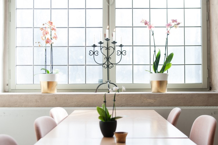 Outdated Home Decorating Trends