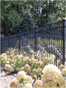 Things to Consider Before Choosing Wood Fencing