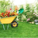 Benefits of Home Garden
