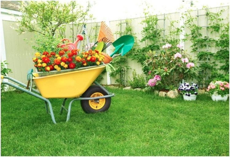 Benefits of Home Garden