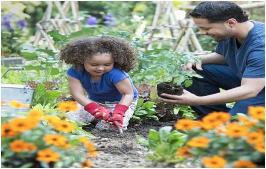 Gardening for A Stress-free and Happy Life