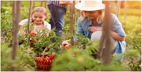 Gardening for Family Health