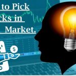 How to Pick Indian Market Stocks