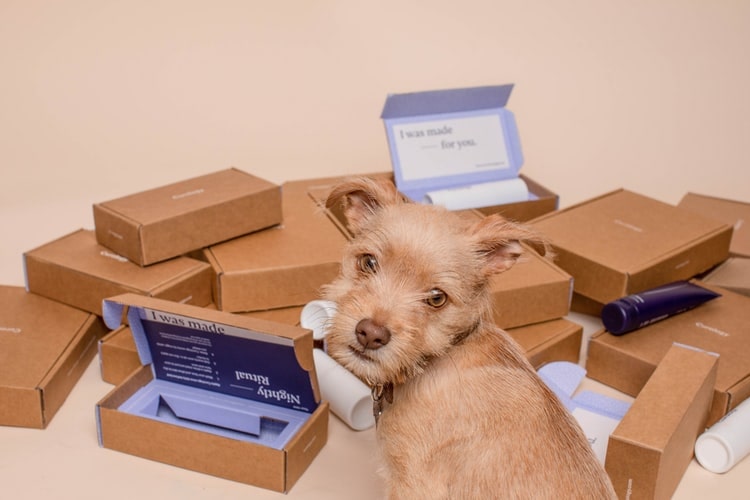 The Ultimate Guide to Custom Archive Boxes