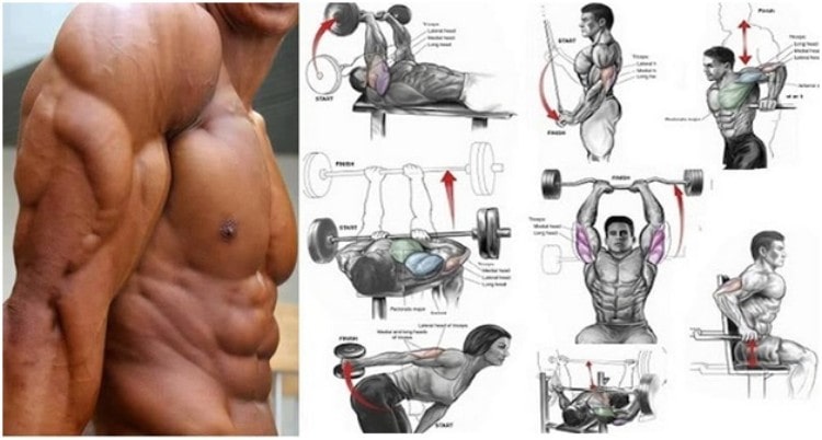 How to Build Huge Biceps Triceps and Big Muscular Chest