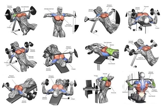 best exercises for big chest muscles