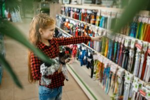 5 Necessities You Should Have Before You Buy a Pet