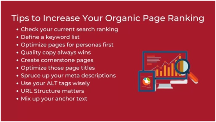How can You Boost Your Website’s Organic Ranking?