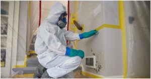 Mold Technician