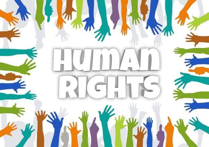 Human Rights Organizations