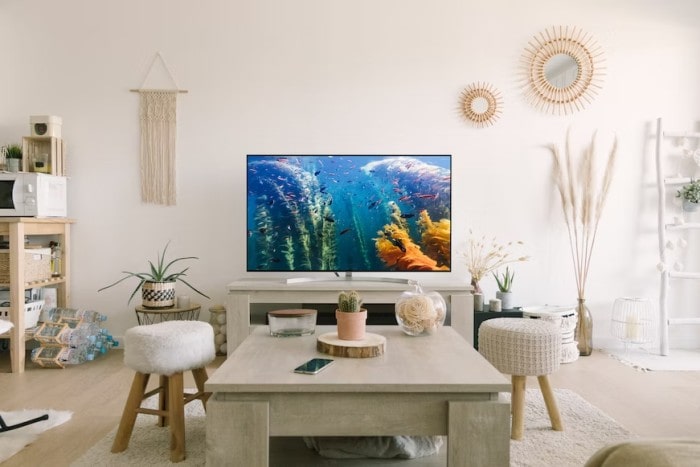 TV